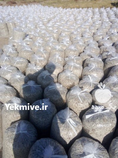 فروش تفاله چغندر در چهاربرج در گروه خوراک دام و طیور در یکمیوه -عکس1