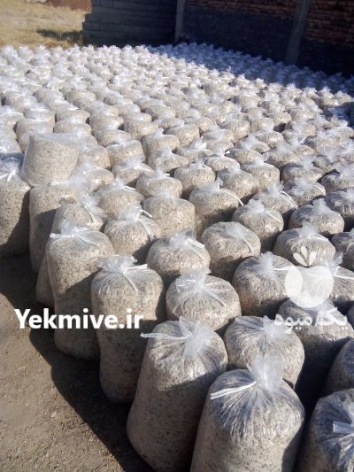 فروش تفاله چغندر در چهاربرج در گروه خوراک دام و طیور در یکمیوه -عکس2