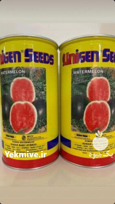 بذر هندوانه یونی ژن انتخاب کشاورزان در مشهد در گروه خرید و فروش بذر هندوانه در یکمیوه -عکس1