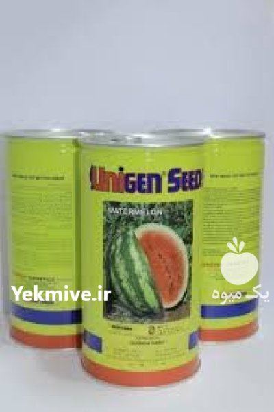 بهترین بذر هندوانه برای سود بیشتر در بوشهر در گروه خرید و فروش بذر هندوانه در یکمیوه -عکس1