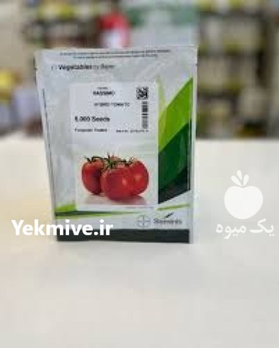 فروش یذر گوجه فرنگی باسیمو اصل در اهواز در گروه خرید و فروش بذر گوجه در یکمیوه -عکس1