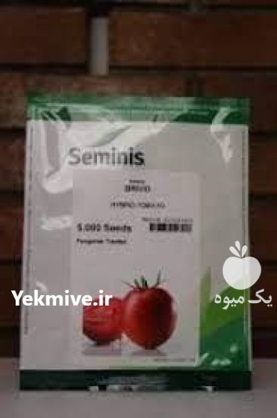 خرید بذر گوجه فرنگی باسیمو در هشتبندی در گروه خرید و فروش بذر گوجه در یکمیوه -عکس1