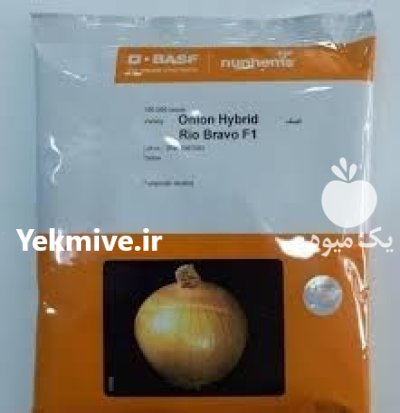 فروش بذر پیاز ریوبراوو در شیراز در فارس در گروه خرید و فروش بذر پیاز در یکمیوه -عکس1