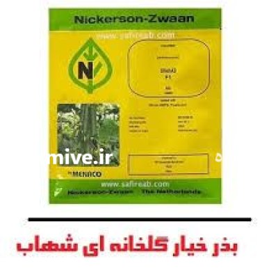 خرید بذر خیار نیکرسون شهاب بذر در شیراز در گروه خرید و فروش بذر خیار در یکمیوه -عکس1