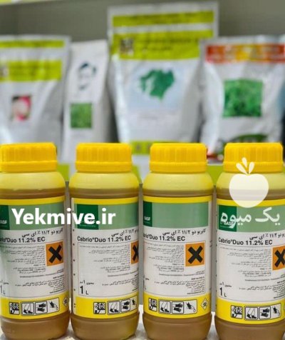 سم قارچ کش کابریودو در اسفدن در گروه خرید و فروش انواع سم در یکمیوه -عکس1