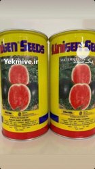 بذر هندوانه یونی ژن انتخاب کشاورزان در مشهد در گروه خرید و فروش بذر هندوانه در یکمیوه