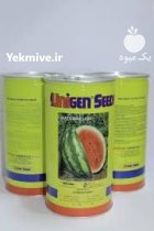 بهترین بذر هندوانه برای سود بیشتر در بوشهر در گروه خرید و فروش بذر هندوانه در یکمیوه