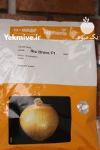 قیمت بذر پیاز پرمحصول ریوبراوو در کهنوج در گروه خرید و فروش بذر پیاز در یکمیوه