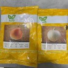 فروش بذر پیاز راتا اصل در همدان در گروه خرید و فروش بذر پیاز در یکمیوه