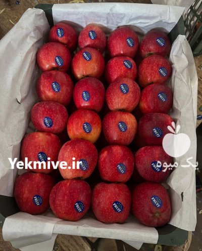 سورتینگ و سردخانه و صادرات در ارومیه در گروه سورتینگ در یکمیوه -عکس4