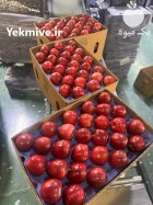 سورتینگ و سردخانه و صادرات در ارومیه در گروه سورتینگ در یکمیوه