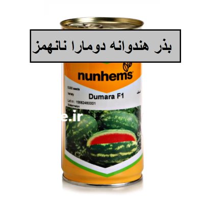 فروش بذر هندوانه کریمسون سوئیت دومارا در خرم آباد در گروه خرید و فروش بذر هندوانه در یکمیوه -عکس1