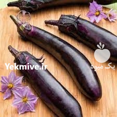 بذر بادمجان مشکی بلند در پهله در گروه خرید و فروش بذر بادمجان در یکمیوه -عکس1