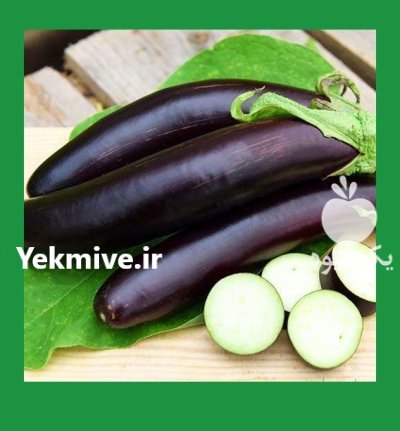 بذر بادمجان مشکی بلند در پهله در گروه خرید و فروش بذر بادمجان در یکمیوه -عکس2