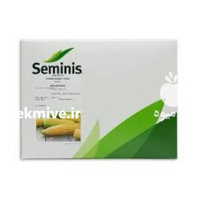 بذر ذرت مسنجر در آذرشهر در گروه خرید و فروش بذر ذرت در یکمیوه -عکس1