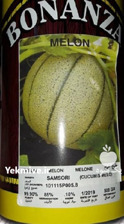 بذر طالبی سمسوری در آمل در گروه خرید و فروش بذر طالبی در یکمیوه -عکس1