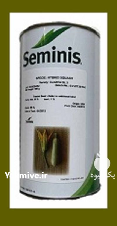 بذر کدو هیبرید کلاریتا در تنکمان در گروه خرید و فروش بذر کدو در یکمیوه -عکس1