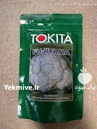 گل کلم فوجی یاما توکیتا در پیش قلعه در گروه خرید و فروش بذر گل در یکمیوه -عکس1