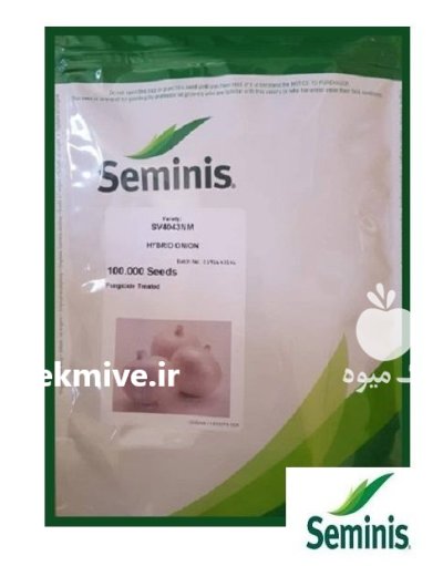 بذر پیاز هیبرید بذر پیاز 4043 در بن  در گروه خرید و فروش بذر پیاز در یکمیوه -عکس1