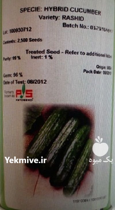 بذر خيار هيبريد فضاى باز رشيد در تهران در گروه خرید و فروش بذر خیار در یکمیوه -عکس1