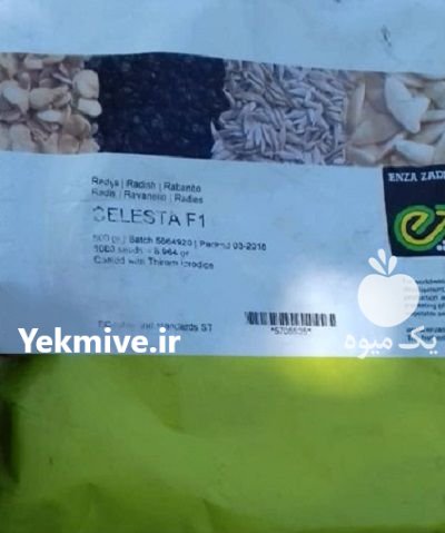 بذر تربچه سلستا در آبسرد در گروه خرید و فروش انواع بذر در یکمیوه -عکس1