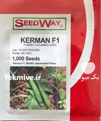 بذر خیار کرمان در آبدان در گروه خرید و فروش بذر خیار در یکمیوه -عکس1