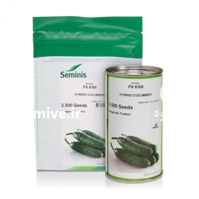 بذر خیار 8306 سمینیس در بایگ در گروه خرید و فروش بذر خیار در یکمیوه -عکس1