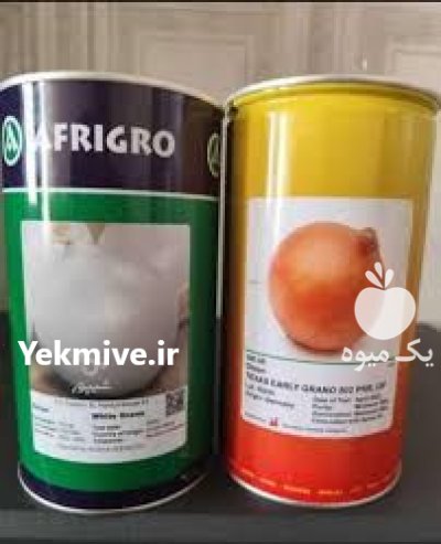 خرید بذر پیاز افریگرو انتخاب حرفه در ایلام در گروه خرید و فروش بذر پیاز در یکمیوه -عکس1