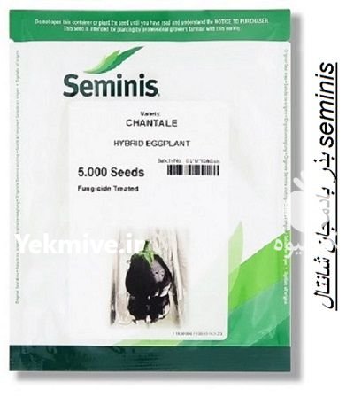 “بذر بادمجان شانتال Chantale F 1 ” در پیش قلعه در گروه خرید و فروش بذر بادمجان در یکمیوه -عکس1