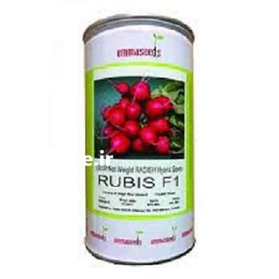 بذر تربچه روبیس در آسمان آباد در گروه خرید و فروش انواع بذر در یکمیوه -عکس1