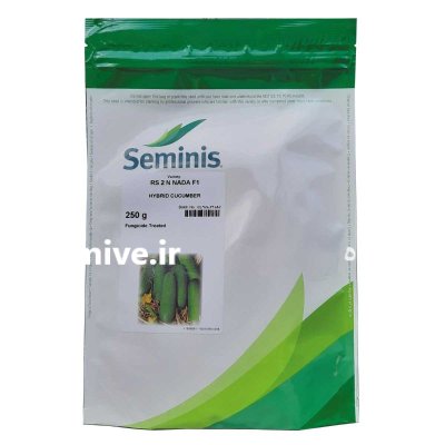 فروش ویژه بذر خیار رویال انتخاب در هشتبندی در گروه خرید و فروش بذر خیار در یکمیوه -عکس1