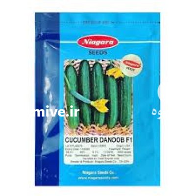 بذر خیار دانوب در بومهن در گروه خرید و فروش بذر خیار در یکمیوه -عکس1