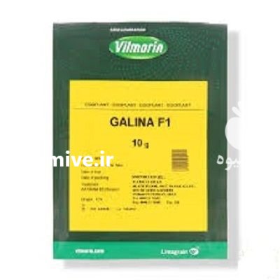 بذر بادمجان گالینا ویلمورین در آواجیق در گروه خرید و فروش بذر بادمجان در یکمیوه -عکس1