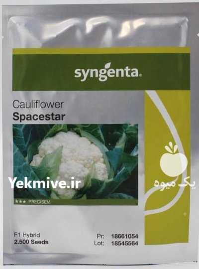 بذر گل کلم اسپیس استار گلد در جونقان در گروه خرید و فروش انواع بذر در یکمیوه -عکس1