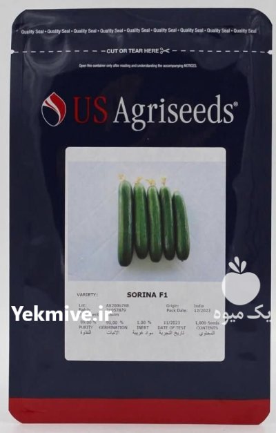بذر خیار سورینا در اندوهجرد در گروه خرید و فروش بذر خیار در یکمیوه -عکس1