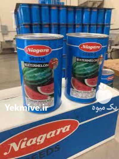 فروش ویژه بذر هندوانه نیاگارا در اصفهان در گروه خرید و فروش بذر هندوانه در یکمیوه -عکس1