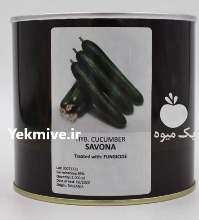 بذر خیار ساوانا در بجنورد در گروه خرید و فروش بذر خیار در یکمیوه -عکس1