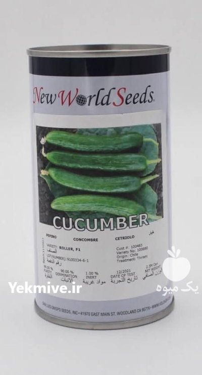 بذر خیار رولر در آستانه اشرفیه در گروه خرید و فروش بذر خیار در یکمیوه -عکس1