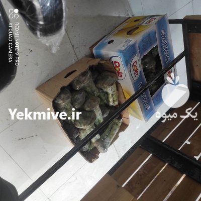 فروش فروش ته بار میوه بهترین در پاکدشت در گروه خوراک دام و طیور در یکمیوه -عکس1