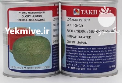 بذر هندوانه تاکی گلوری جامبو در بیرجند در گروه خرید و فروش بذر هندوانه در یکمیوه -عکس1