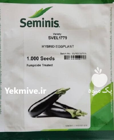 بادمجان 1779 گلخانه ای در بیدخت در گروه خرید و فروش بذر بادمجان در یکمیوه -عکس1