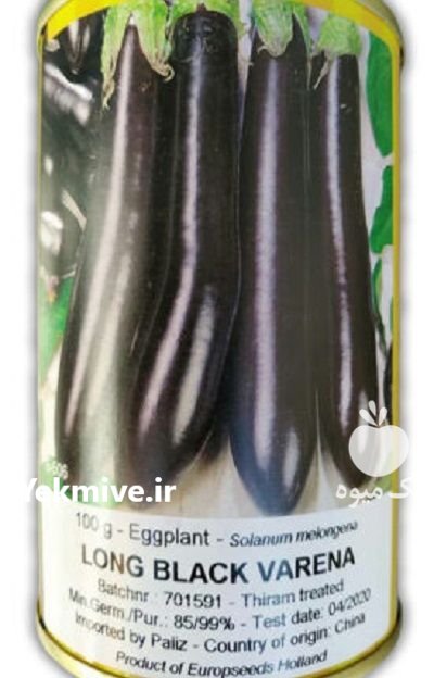 بذر بادمجان لانگ بلک و ارنا در بومهن در گروه خرید و فروش بذر بادمجان در یکمیوه -عکس1