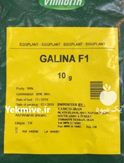 بذر بادمجان گالینا در اسلامشهر در گروه خرید و فروش بذر بادمجان در یکمیوه -عکس1