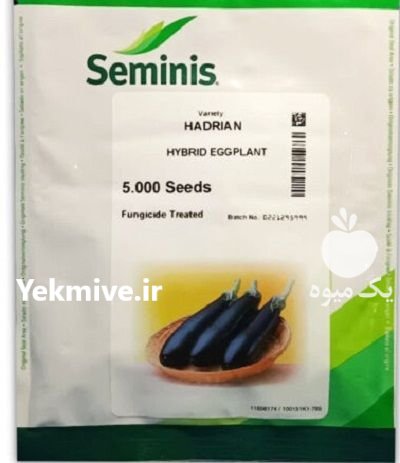 “بذر بادمجان هادریان Hadrian F 1 ” در اسلامیه در گروه خرید و فروش بذر بادمجان در یکمیوه -عکس1