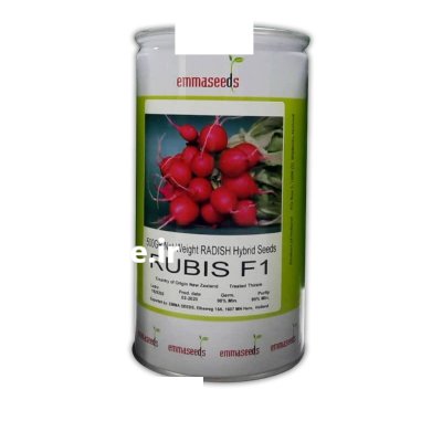 بذر تربچه روبیس در یاسوج در گروه خرید و فروش انواع بذر در یکمیوه -عکس1