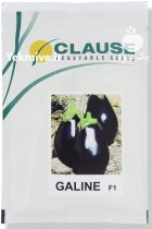 بذر بادمجان گالین در آبپخش در گروه خرید و فروش بذر بادمجان در یکمیوه