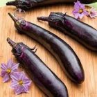 بذر بادمجان مشکی بلند در پهله در گروه خرید و فروش بذر بادمجان در یکمیوه