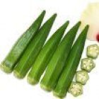 بذر بامیه الیت در انار در گروه خرید و فروش بذر بامیه در یکمیوه