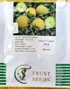 بذر ملون گالا در بن  در گروه خرید و فروش بذر ملون در یکمیوه