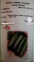 بذر خيار هيبريد فضاى باز رشيد در تهران در گروه خرید و فروش بذر خیار در یکمیوه
